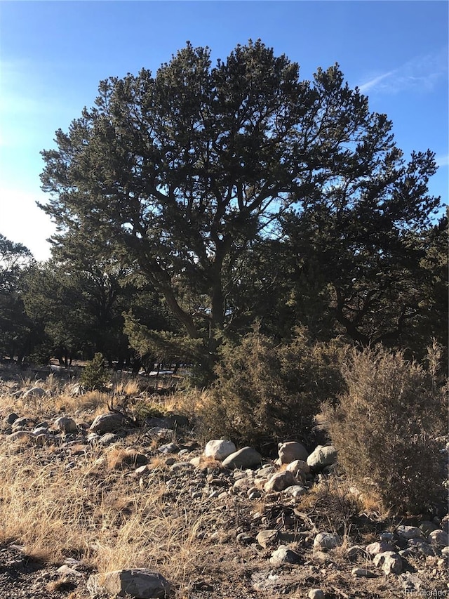 3589AND3590 Alfresco Way, Crestone, CO 81131