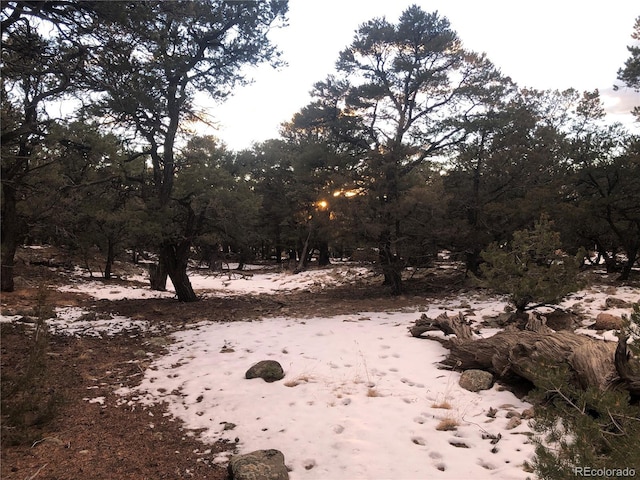 3589AND3590 Alfresco Way, Crestone, CO 81131
