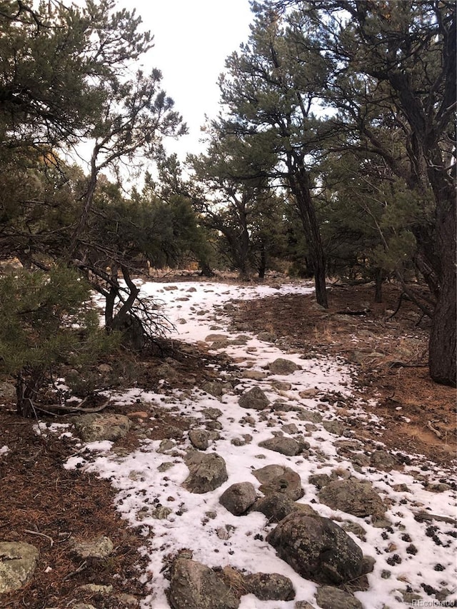 3589AND3590 Alfresco Way, Crestone, CO 81131