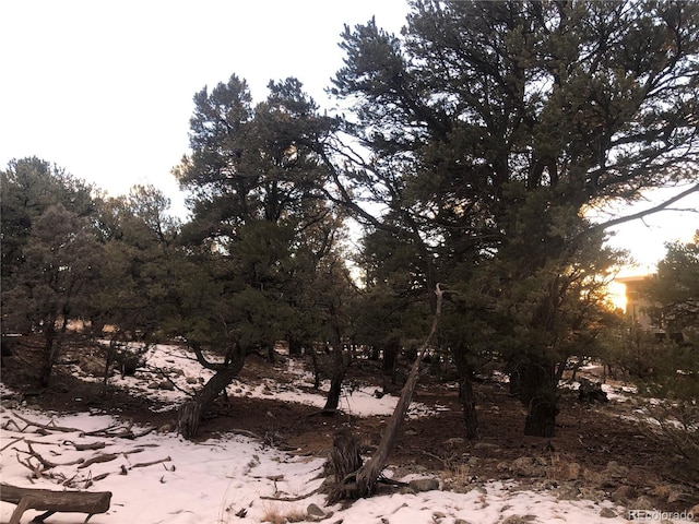 3589AND3590 Alfresco Way, Crestone, CO 81131