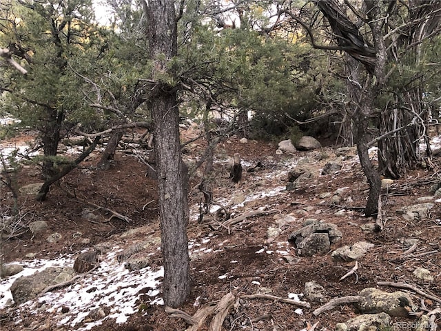 3589AND3590 Alfresco Way, Crestone, CO 81131