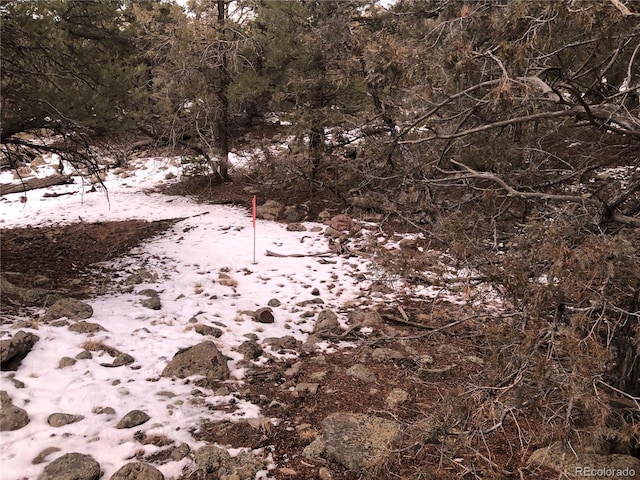 3589AND3590 Alfresco Way, Crestone, CO 81131
