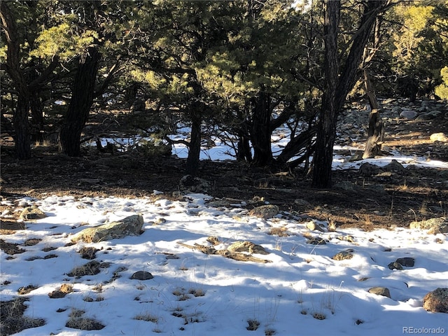 3589AND3590 Alfresco Way, Crestone, CO 81131