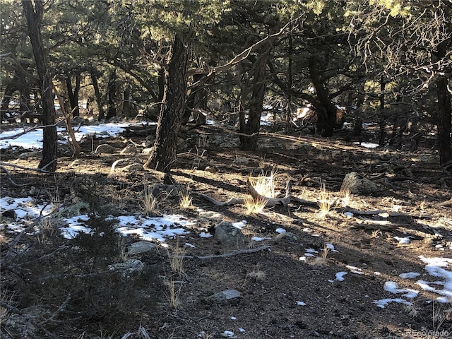 3589AND3590 Alfresco Way, Crestone, CO 81131