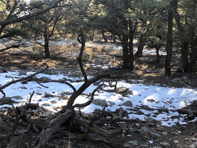 3589AND3590 Alfresco Way, Crestone, CO 81131
