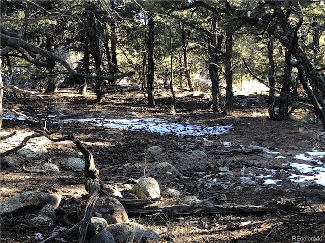 3589AND3590 Alfresco Way, Crestone, CO 81131