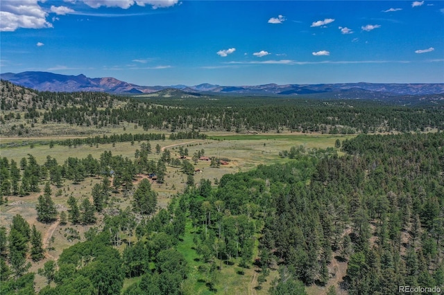 drone / aerial view featuring a mountain view