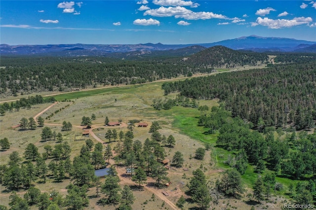 birds eye view of property featuring a mountain view