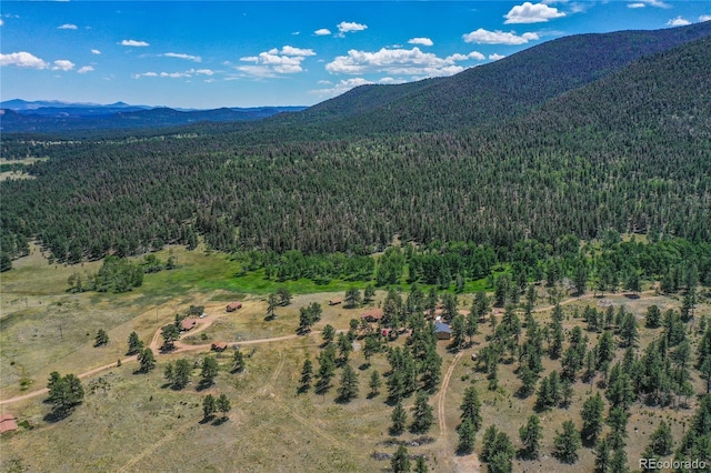 birds eye view of property with a mountain view