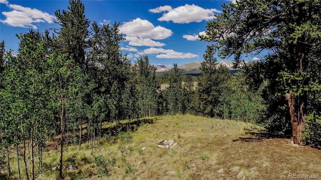 308 Quarry Rd, Fairplay, CO 80440 - photo 1
