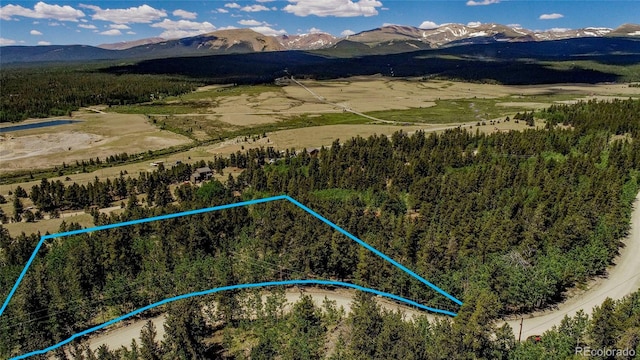 308 Quarry Rd, Fairplay, CO 80440 - photo 2