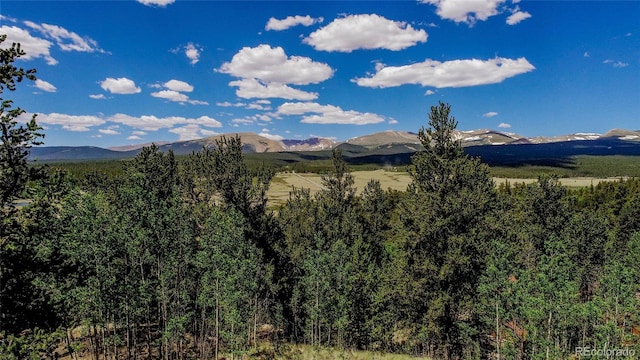 308 Quarry Rd, Fairplay, CO 80440 - photo 3