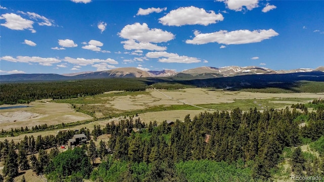 308 Quarry Rd, Fairplay, CO 80440 - photo 4