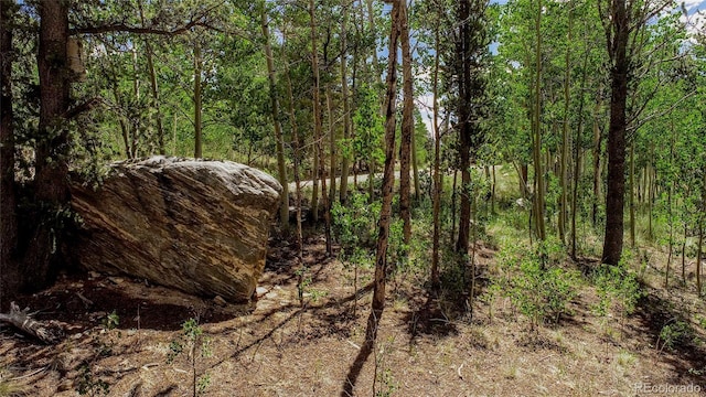 308 Quarry Rd, Fairplay, CO 80440 - photo 8