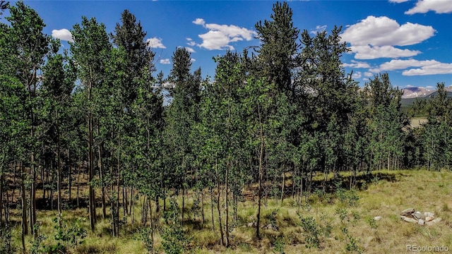 308 Quarry Rd, Fairplay, CO 80440 - photo 9