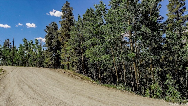 308 Quarry Rd, Fairplay, CO 80440 - photo 11