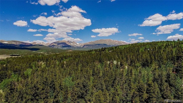 308 Quarry Rd, Fairplay, CO 80440 - photo 12
