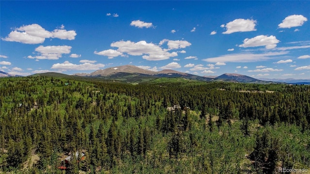 308 Quarry Rd, Fairplay, CO 80440 - photo 13