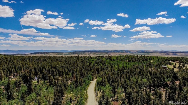 308 Quarry Rd, Fairplay, CO 80440 - photo 14