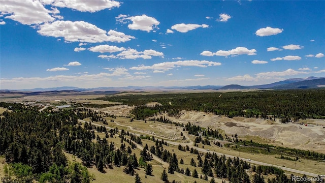 308 Quarry Rd, Fairplay, CO 80440 - photo 15