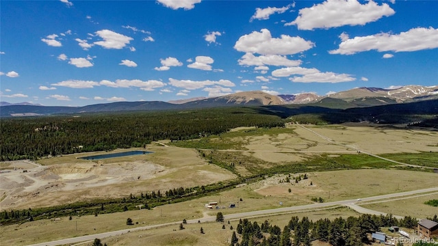 308 Quarry Rd, Fairplay, CO 80440 - photo 16