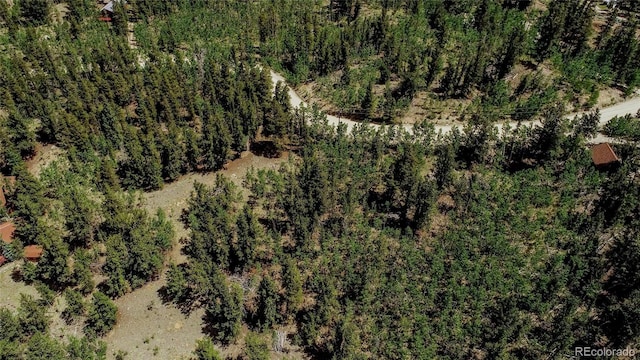 308 Quarry Rd, Fairplay, CO 80440 - photo 17