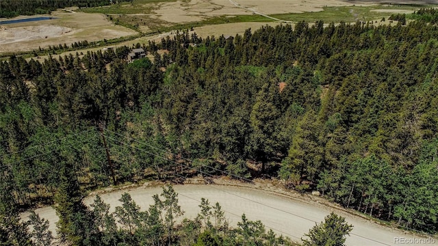 308 Quarry Rd, Fairplay, CO 80440 - photo 22