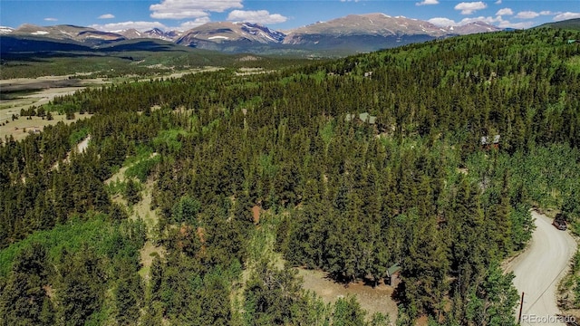 308 Quarry Rd, Fairplay, CO 80440 - photo 23