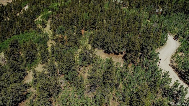 308 Quarry Rd, Fairplay, CO 80440 - photo 24