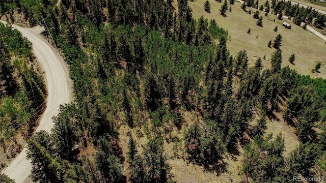 308 Quarry Rd, Fairplay, CO 80440 - photo 25
