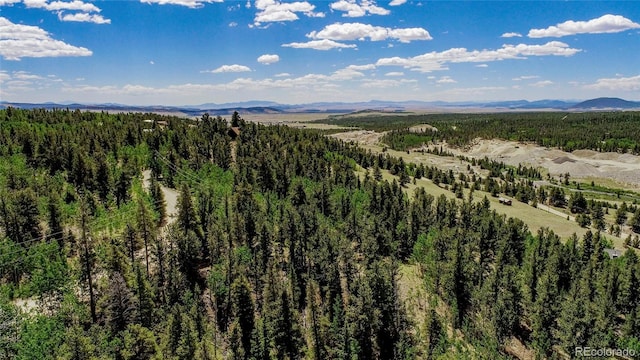 308 Quarry Rd, Fairplay, CO 80440 - photo 27