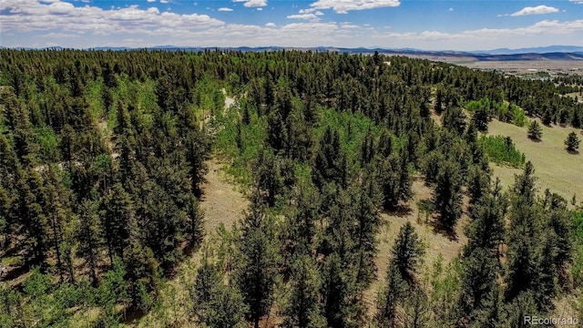 308 Quarry Rd, Fairplay, CO 80440 - photo 28