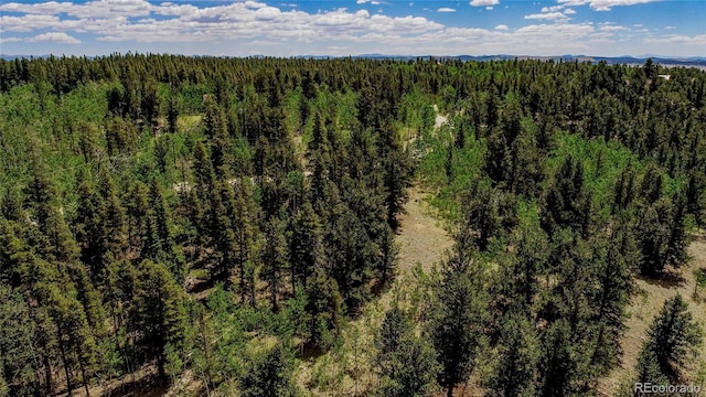 308 Quarry Rd, Fairplay, CO 80440 - photo 29