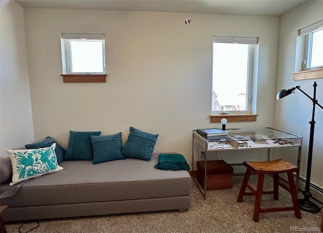 26 S Trailside Cir Unit A, Salida, CO 81201 - sitting room featuring carpet floors