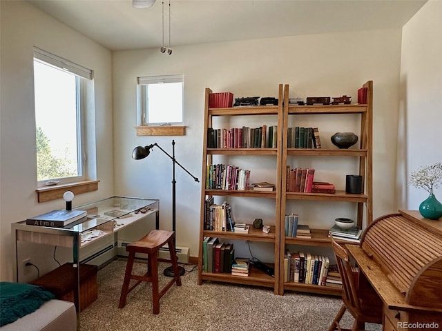 26 S Trailside Cir Unit A, Salida, CO 81201 - office with carpet and healthy amount of natural light