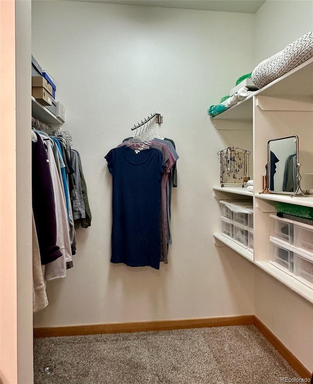 26 S Trailside Cir Unit A, Salida, CO 81201 - spacious closet with carpet