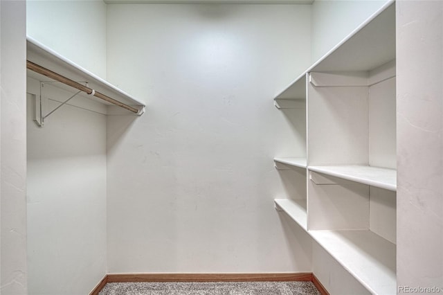 26 S Trailside Cir Unit A, Salida, CO 81201 - spacious closet featuring carpet flooring
