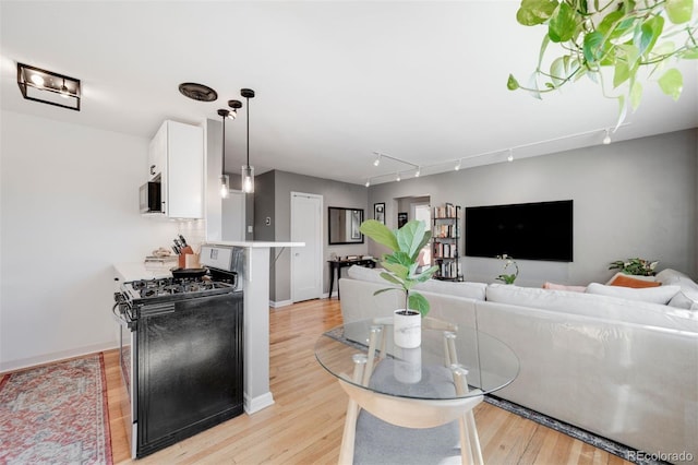 living area with light wood finished floors and baseboards