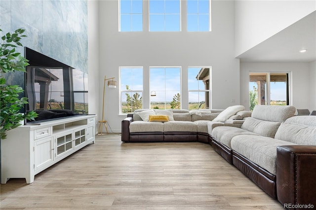 864 Clover Loop, Erie, CO 80026 - living area with a high ceiling, healthy amount of natural light, and light wood-style floors