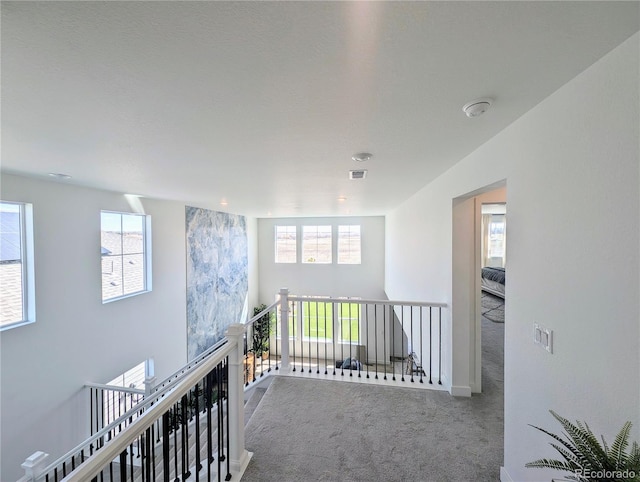 864 Clover Loop, Erie, CO 80026 - photo 27