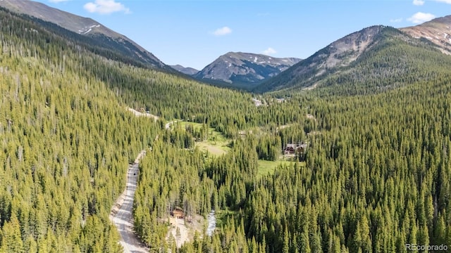 5080 Montezuma Rd, Montezuma, CO 80435 - photo 7
