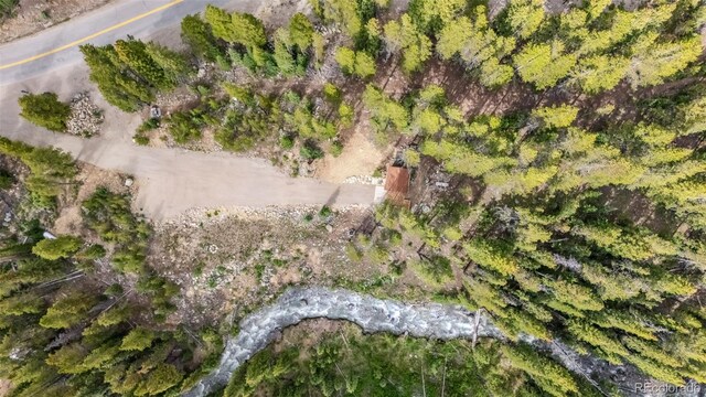 5080 Montezuma Rd, Montezuma, CO 80435 - photo 13