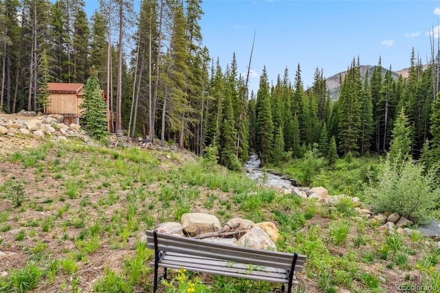 5080 Montezuma Rd, Montezuma, CO 80435 - photo 18