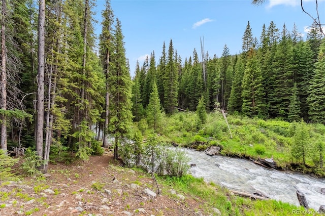 5080 Montezuma Rd, Montezuma, CO 80435 - photo 23