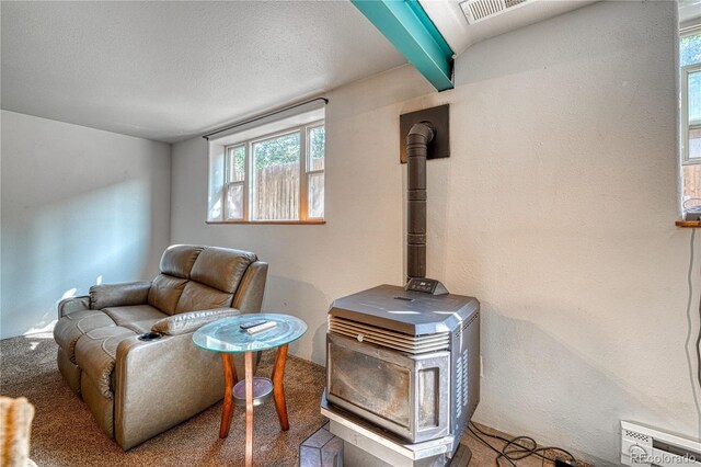 410 W 16th St, Salida, CO 81201 - carpeted living room with a textured ceiling and a wood stove