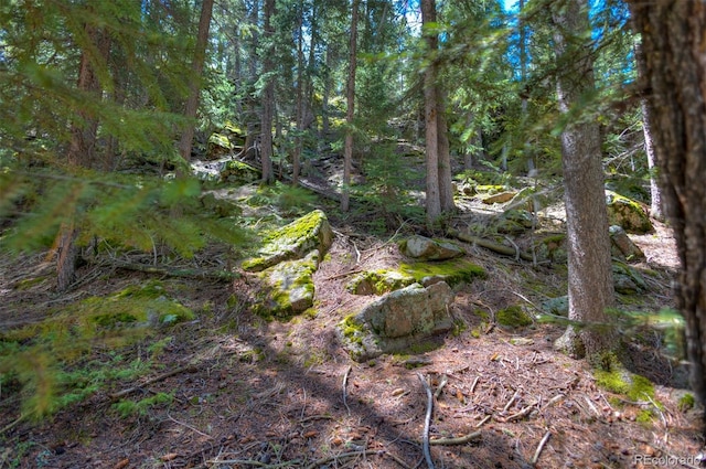 8116 S Brook Forest Rd, Evergreen, CO 80439 - photo 3