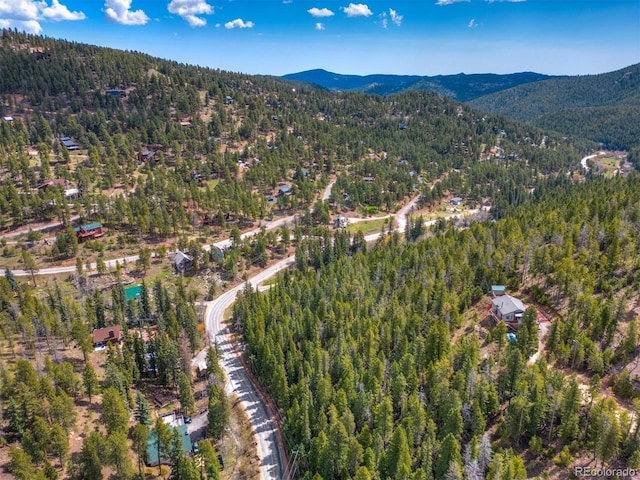 8116 S Brook Forest Rd, Evergreen, CO 80439 - photo 5