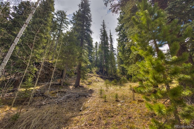 8116 S Brook Forest Rd, Evergreen, CO 80439 - photo 7