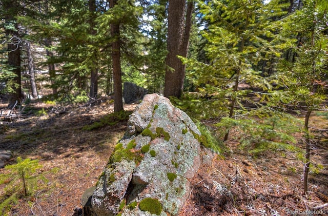 8116 S Brook Forest Rd, Evergreen, CO 80439 - photo 8