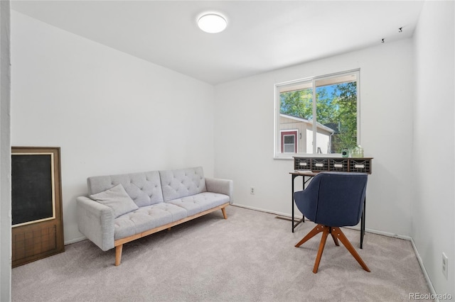 office space with carpet flooring